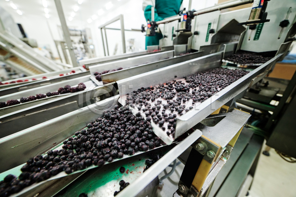 사람없음 JPG 포토 해외이미지 공장 기계 냉동 냉동식품 분류 산딸기 식품공장 제조