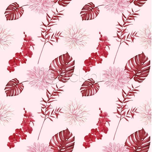 사람없음 EPS 일러스트 해외이미지 꽃 꽃무늬 몬스테라 백그라운드 분홍색 잎 패턴백그라운드