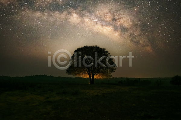 감성 분위기 사람없음 JPG 실루엣 포토 해외이미지 나무 몽환 밤하늘 별 야간 야외 은하수(은하) 한그루