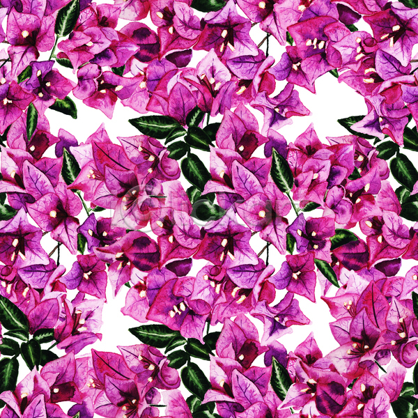 사람없음 JPG 일러스트 포토 해외이미지 계절 그래픽 꽃 꽃다발 나무 백그라운드 벚꽃 벽지 보라색 봄 분홍색 빨간색 손 수채화(물감) 식물 여름(계절) 열대 외관 이국적 자연 정원 종이 직물 패턴 포장소품 하와이인 현실