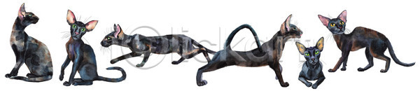 사람없음 JPG 포토 해외이미지 고양이 그림 수채화(물감) 여러마리