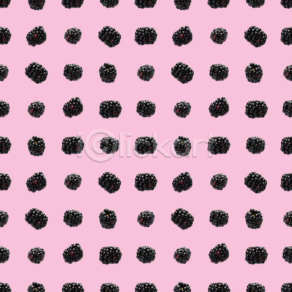 사람없음 JPG 포토 해외이미지 분홍색배경 블랙베리 패턴