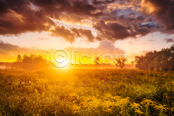 사람없음 JPG 포토 해외이미지 구름(자연) 나무 들꽃 야외 일몰 자연 초원(자연) 태양 풀(식물) 풍경(경치) 하늘 햇빛
