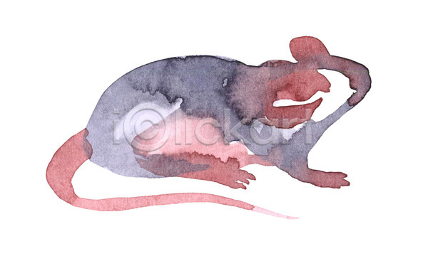 사람없음 JPG 포토 해외이미지 그림 수채화(물감) 쥐 한마리