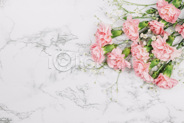 사람없음 JPG 포토 하이앵글 해외이미지 꽃다발 대리석 실내 안개꽃 카네이션 카피스페이스 흰배경