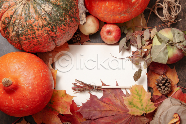 사람없음 JPG 포토 해외이미지 가을(계절) 낙엽 단풍 사과 실내 종이 카피스페이스 호박