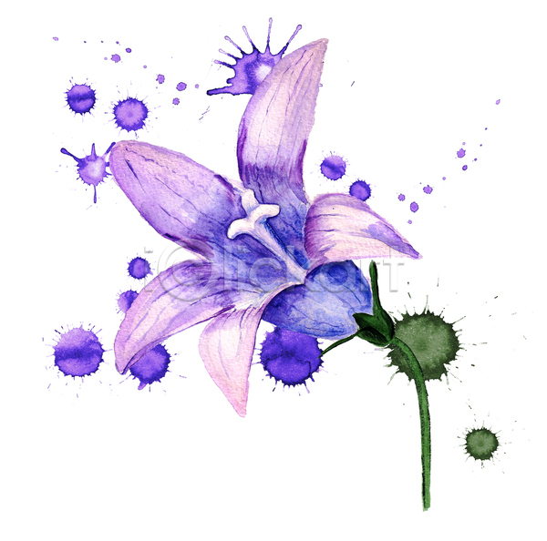사람없음 JPG 일러스트 포토 해외이미지 그림 꽃 보라색 블루벨 손그림 수채화(물감) 한송이