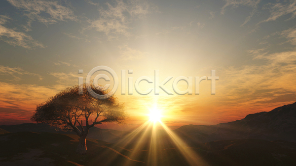 사람없음 JPG 포토 해외이미지 나무 농장 밭 시골 아침 야외 일출 자연 태양 풍경(경치) 하늘 햇빛