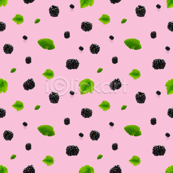 사람없음 JPG 포토 해외이미지 분홍색배경 블랙베리 잎 패턴