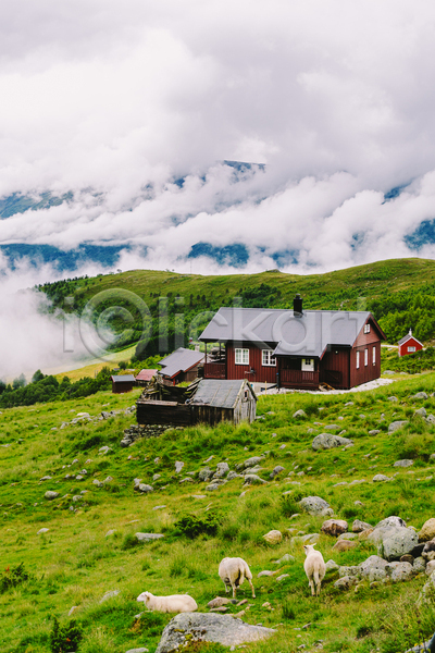 사람없음 JPG 포토 해외이미지 구름(자연) 노르웨이 시골 야외 양 언덕 여러마리 주간 주택 풍경(경치)