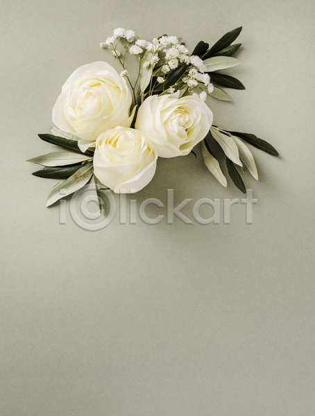 사람없음 JPG 포토 하이앵글 해외이미지 결혼 꽃 꽃다발 베이지색배경 실내 잎 카피스페이스
