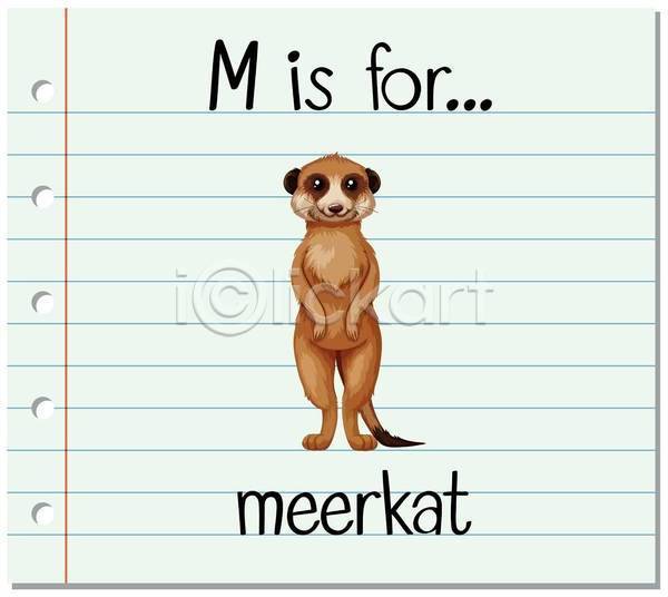 사람없음 EPS 일러스트 해외이미지 M 단어 단어카드 동물 미어캣 알파벳 영어 영어교육 한마리