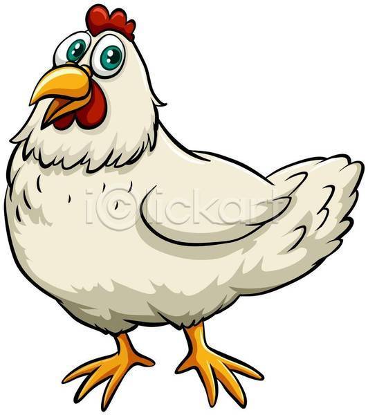 귀여움 사람없음 EPS 일러스트 해외이미지 닭 닭캐릭터 암탉 한마리