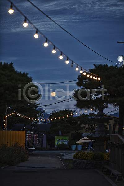 고요 사람없음 JPG 포토 고양 구름(자연) 나무 놀이공원 밤하늘 보름달 알전구 야간 야외