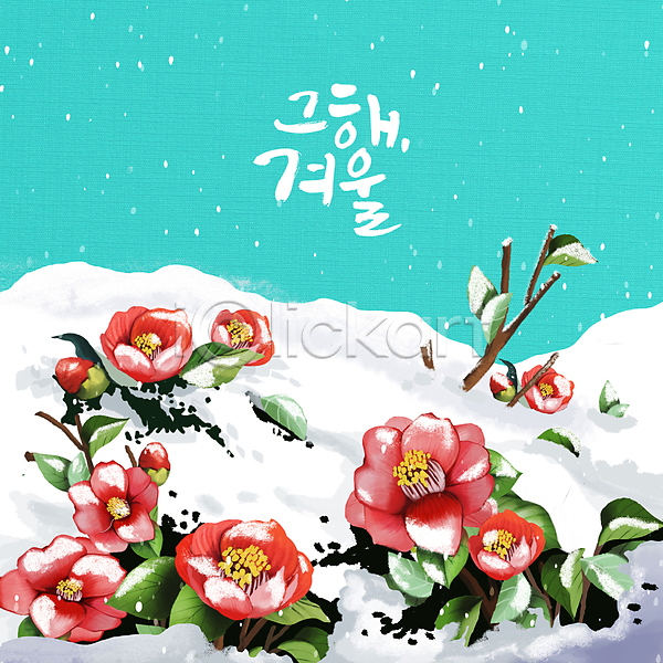 사람없음 PSD 일러스트 겨울 겨울꽃 글자캘리그라피 꽃봉오리 나뭇가지 눈(날씨) 눈내림 눈덮임 동백 동백나무 잎 하늘색