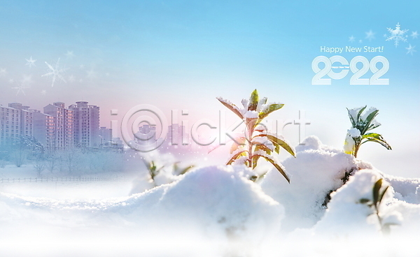 사람없음 PSD 편집이미지 2022년 겨울 눈(날씨) 눈덮임 도시 빌딩 새해 식물 잎 풍경(경치) 하늘색