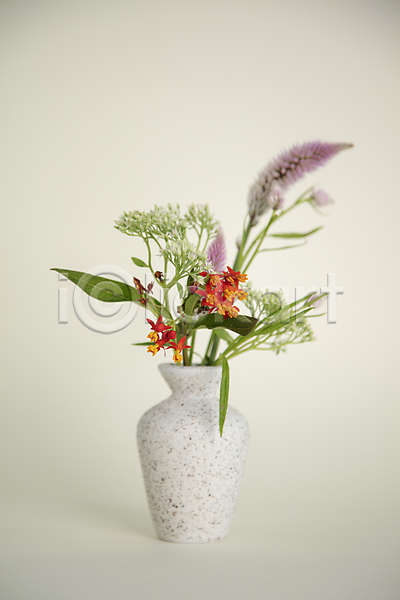 부드러움 사람없음 JPG 포토 꽃 꽃꽂이 꽃병 실내 장식 흰배경