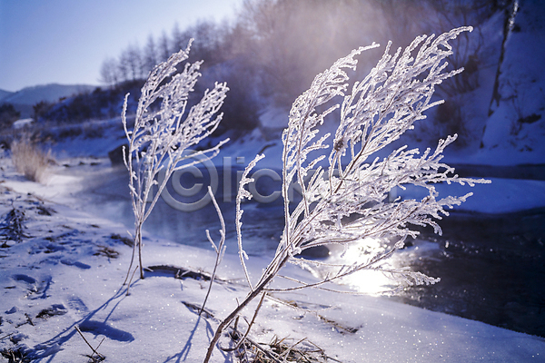 사람없음 JPG 포토 강 겨울 겨울풍경 나뭇가지 눈(날씨) 눈꽃 눈덮임 산 설경 야외 자연 주간 햇빛