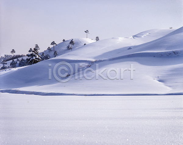 사람없음 JPG 포토 겨울 겨울풍경 나무 눈(날씨) 눈덮임 설경 설산 야외 언덕 자연 주간 하늘