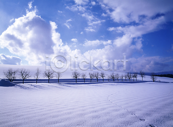 사람없음 JPG 포토 겨울 겨울풍경 구름(자연) 나무 눈(날씨) 눈덮임 맑음 발자국 설경 설산 야외 자연 주간 하늘