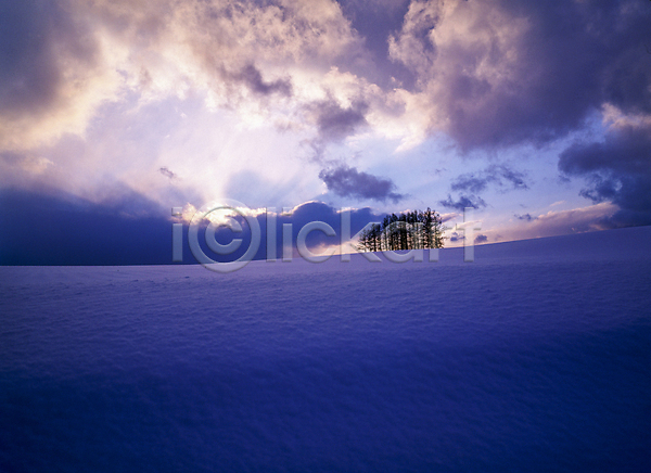사람없음 JPG 포토 겨울 겨울풍경 구름(자연) 나무 눈(날씨) 눈덮임 빛무리 설경 설산 야외 자연 주간 하늘