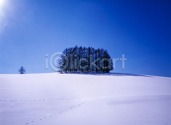 사람없음 JPG 포토 겨울 겨울풍경 나무 눈(날씨) 눈덮임 맑음 발자국 설경 설산 야외 자연 주간 하늘 햇빛