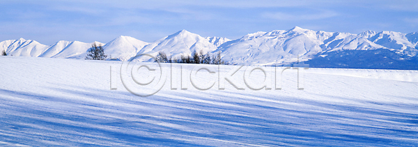 사람없음 JPG 포토 겨울 겨울풍경 나무 눈(날씨) 눈덮임 설경 설산 설원 야외 자연 주간 하늘