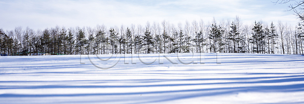 사람없음 JPG 포토 겨울 겨울풍경 구름(자연) 나무 눈(날씨) 눈덮임 설경 설원 야외 자연 주간 하늘