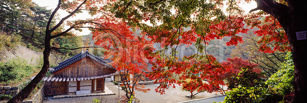 사람없음 JPG 포토 가을(계절) 가을풍경 단풍 단풍나무 야외 주간 한국 한국전통 한옥