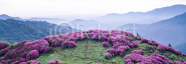 사람없음 JPG 포토 바래봉 봄 봄꽃 봄풍경 산등성이 야외 전라북도 주간 지리산 철쭉 하늘