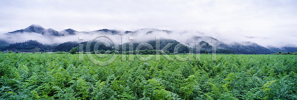 사람없음 JPG 포토 구름(자연) 밭 산 시골 야외 운해 주간 풍경(경치) 하늘