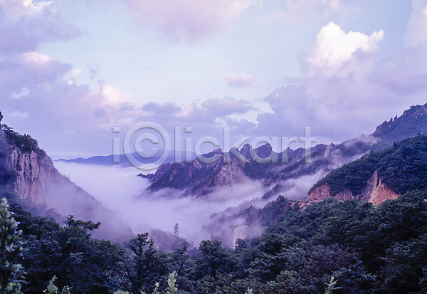 사람없음 JPG 포토 구름(자연) 국내여행 나무 산 숲 안개 야외 자연 주간 풍경(경치) 하늘 한국