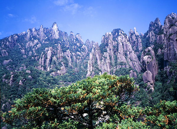 사람없음 JPG 포토 국내여행 나무 바위산 산 야외 자연 주간 풍경(경치) 한국