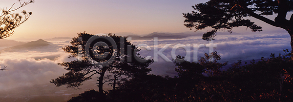 사람없음 JPG 포토 구름(자연) 산 소나무 야외 운해 자연 주간 풍경(경치)