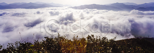 사람없음 JPG 포토 산 산등성 산등성이 야외 양수리 운해 자연 주간 풀(식물) 풍경(경치)