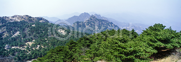 사람없음 JPG 포토 나무 산 산등성이 숲 야외 자연 정상 주간 풍경(경치)