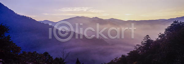 사람없음 JPG 포토 나무 백두대간 산등성이 야외 운해 자연 주간 풍경(경치)