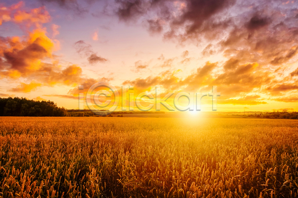 사람없음 JPG 포토 해외이미지 구름(자연) 농장 밭 시골 야외 일출 자연 태양 풍경(경치) 하늘 햇빛