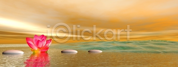 순수 우아함 침묵 동양인 사람없음 인도인 JPG 포토 해외이미지 3 B 개화 꽃 꽃잎 단계 물 미술 방콕 백그라운드 백합 벚꽃 분홍색 불교 사찰 선 수련 식물 신성 심볼 싱크대 여행 연꽃 자연 장식 종교 추상 태국 패턴 해외포토