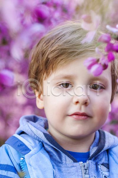 행복 남자 소년 소년한명만 어린이 한명 JPG 앞모습 포토 해외이미지 보라색 사과꽃 상반신