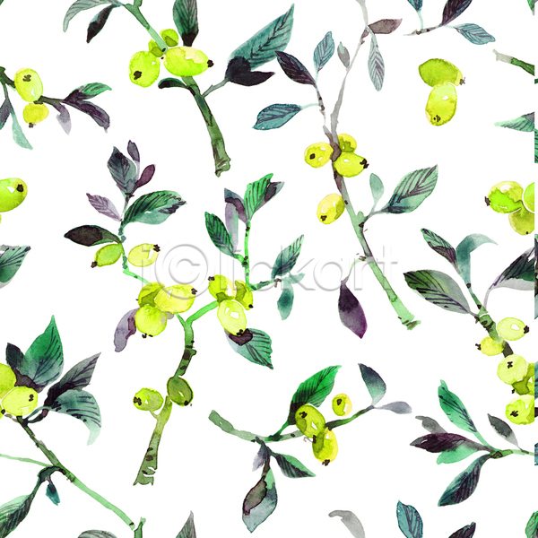 사람없음 JPG 포토 해외이미지 디자인 백그라운드 수채화(물감) 열매 잎 줄기 패턴 패턴백그라운드
