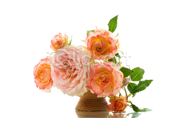 감사 사랑 사람없음 JPG 포토 해외이미지 꽃병 백그라운드 분홍색 장미
