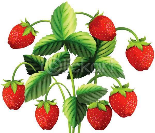사람없음 EPS 일러스트 해외이미지 딸기 딸기잎 빨간색 오브젝트 초록색 클립아트