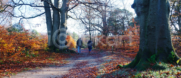 기쁨 산책 함께함 행복 휴식 남자 두명 사람 사람없음 여자 JPG 포토 해외이미지 2 가로 가을 건강 걷기 계절 공원 관계 길 나무 네덜란드 노란색 라이프스타일 목도리 삼림지대 숲 시골 야외 운동 잎 자연 커플 컬러풀 해외포토 햇빛