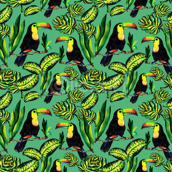 사람없음 JPG 일러스트 해외이미지 몬스테라 열대잎 초록색 토코투칸 트로피컬아트 패턴 패턴백그라운드