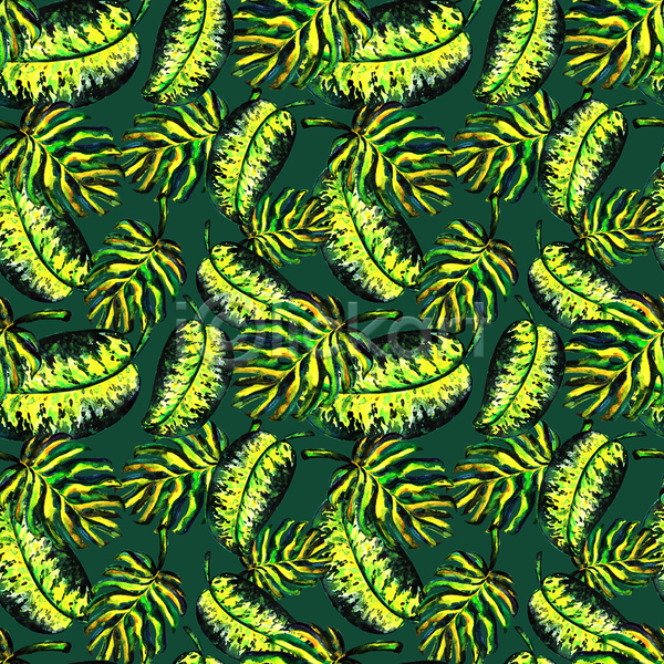 사람없음 JPG 포토 해외이미지 디자인 몬스테라 백그라운드 열대잎 초록색 패턴 패턴백그라운드