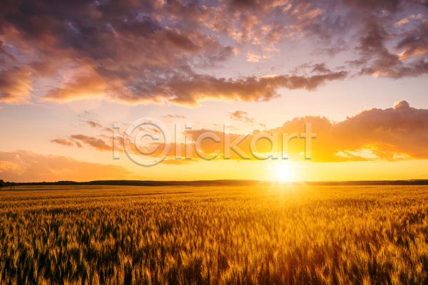 사람없음 JPG 포토 해외이미지 구름(자연) 농장 밭 시골 야외 유럽 일출 자연 태양 풍경(경치) 하늘 햇빛