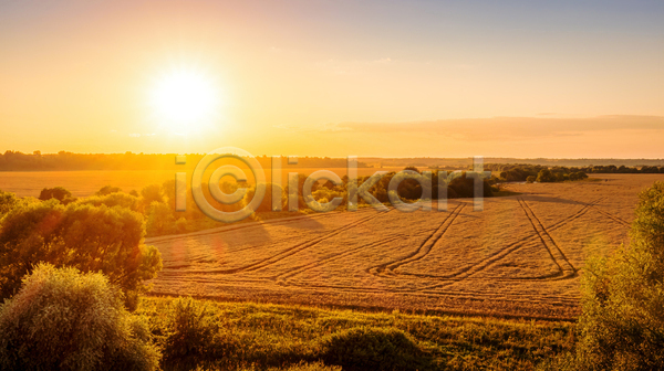 사람없음 JPG 포토 해외이미지 나무 농경지 밀밭 야외 일몰 자연 태양 풍경(경치) 하늘 햇빛