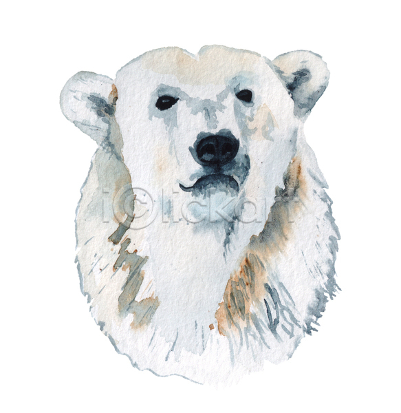 사람없음 JPG 포토 해외이미지 겨울 디자인 북극곰 수채화(물감)