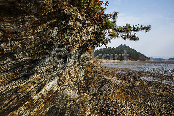 사람없음 JPG 포토 나뭇가지 바위(돌) 산 서해안 섬 신안 암벽 야외 자연 전라남도 주간 풍경(경치) 하늘